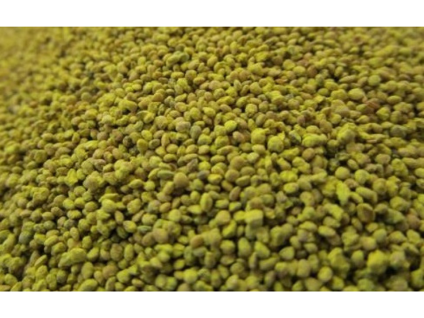 JUW23304 - Bolsa de 100g de Granos de MAÍZ - 1