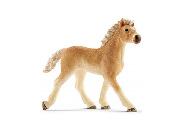 SHL13814 - potro haflinger - 1