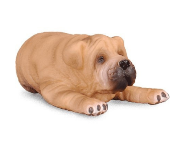 COLL88194 - Cachorro sharpei acostado - 1