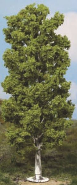 HEK1984 - Abedul 20 cm - 1