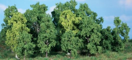 HEK1992 - 14 Árboles de hoja caduca 5-12 cm - 1