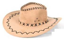 LP00008 - Sombrero Vaquero Beige - 1