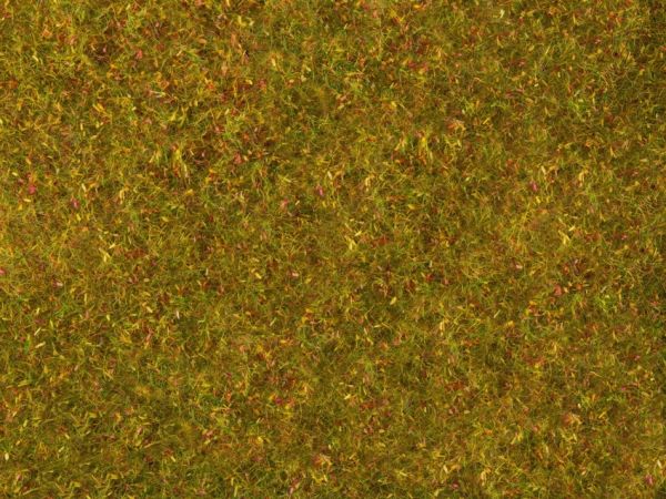 NOC07290 - Follaje de pradera; amarillo verdoso 20 x 23 cm - 1