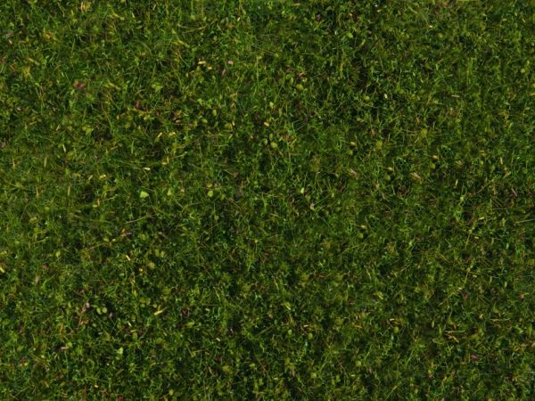 NOC07291 - Follaje de pradera; verde medio 20 x 23 cm - 1