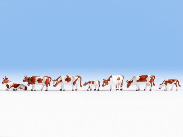 NOC15723 - vacas Montbéliard - 1