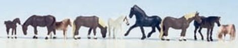 NOC15761 - varios caballos - 1