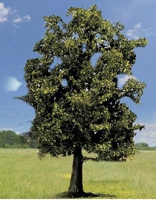 NOC21690 - Haya - 13 cm - 1