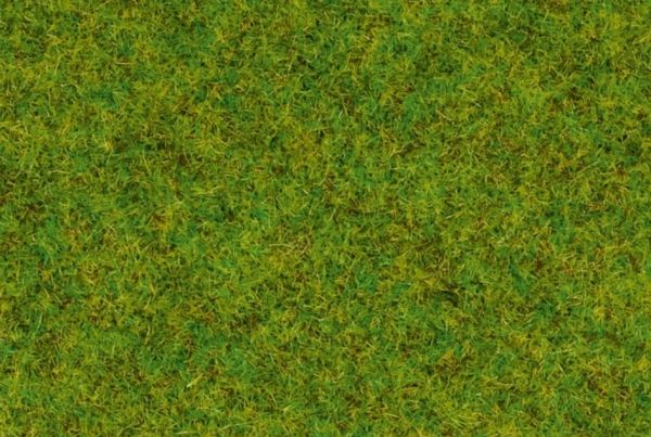 NOC50210 - Hierba; verde medio - 100 g - 2;5 mm - 1