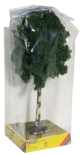 NOC68010 - Abedul altura 35 cm - 1