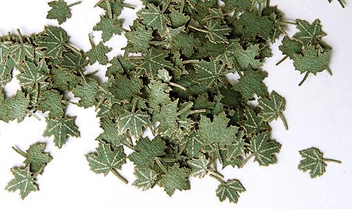 PLS253 - Hojas de arce verde en miniatura de 4 mm para diorama - 1