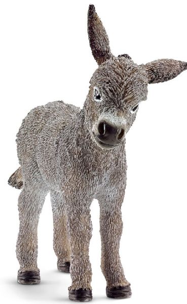 SHL13746 - Burro - 1
