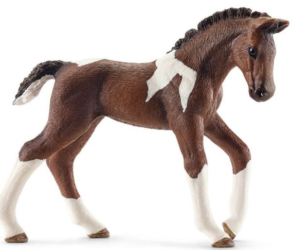 SHL13758 - Potro Trakehnen - 1
