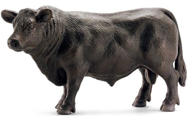 SHL13766 - toro angus - 1