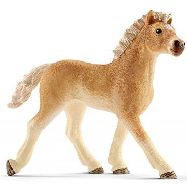 SHL13814 - potro haflinger - 1