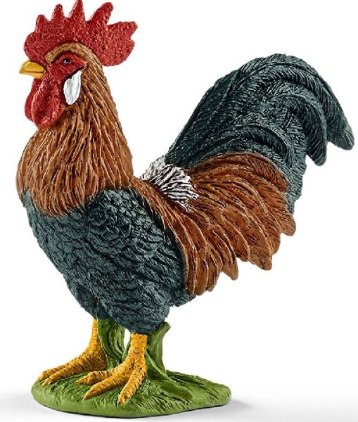 SHL13825 - Gallo - 1