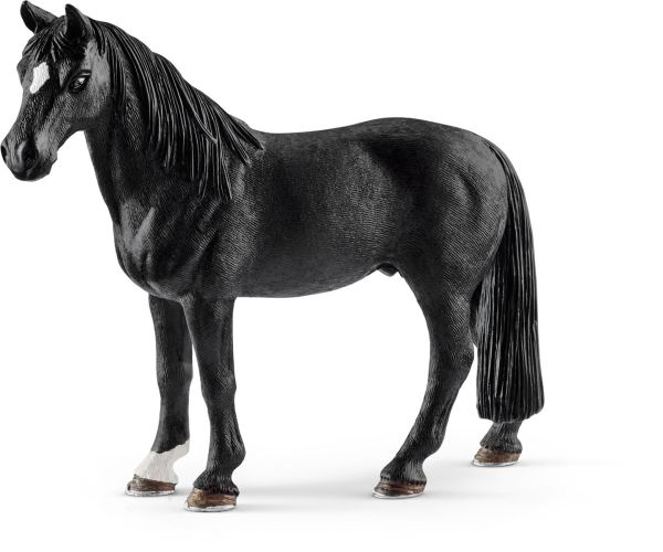 SHL13832 - Tennessee Walker Castrado - 1