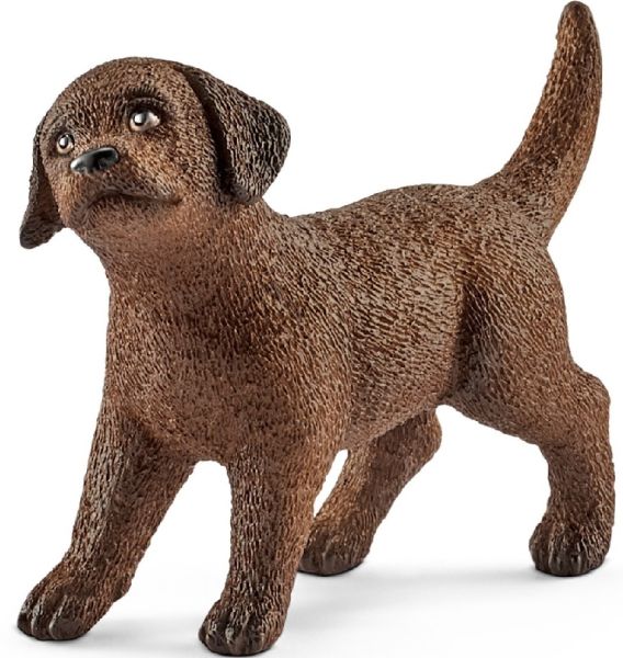 SHL13835 - Cachorro Labrador Retriever - 1