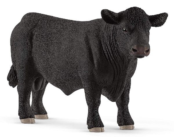 SHL13879 - toro angus - 1