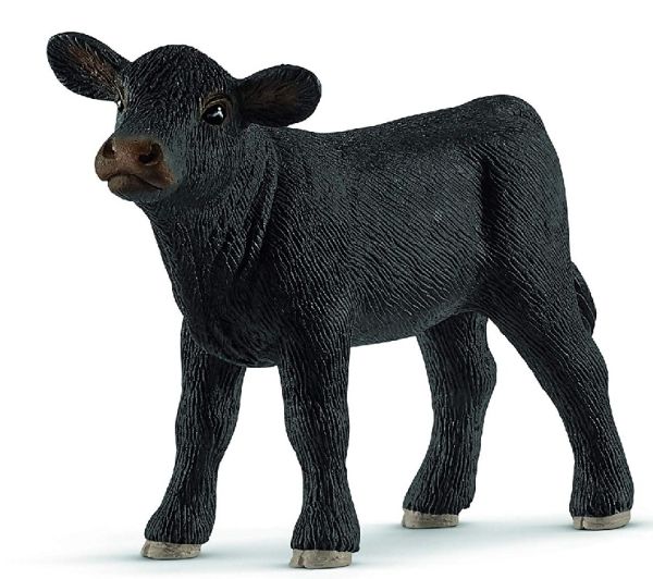 SHL13880 - Ternero Angus - 1