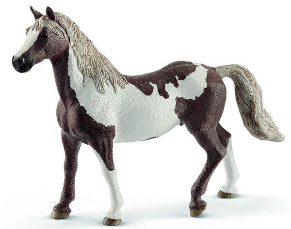 SHL13885 - Pintar caballo castrado - 1