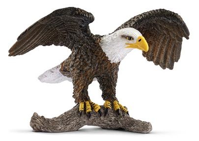 SHL14780 - Águila calva - 1
