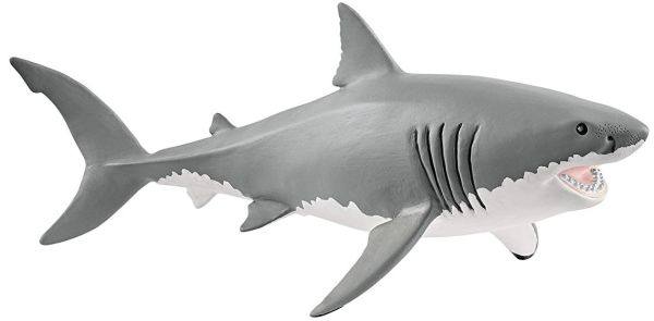 SHL14809 - tiburón blanco - 1