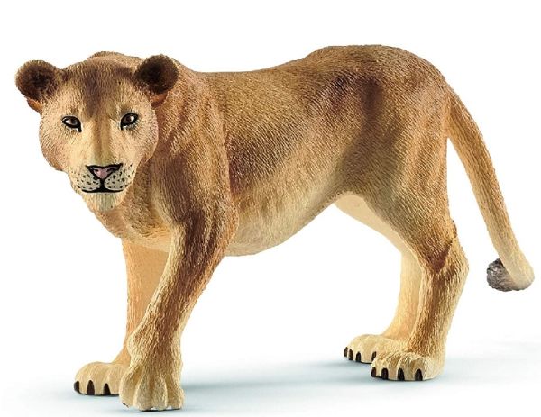 SHL14825 - Leona - 1