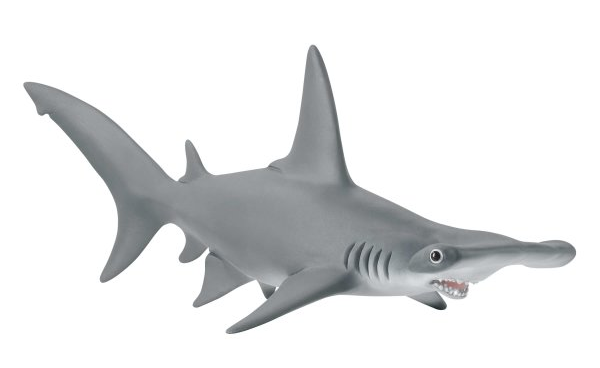 SHL14835 - Tiburón martillo - 1