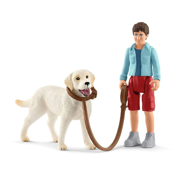 SHL42478 - Paseo con Labrador Retriever - 1