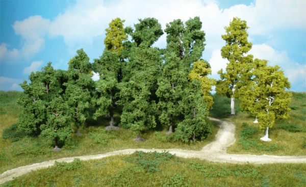 HEK1950 - Lote de 10 arboles frutales 8-12 cm - 1