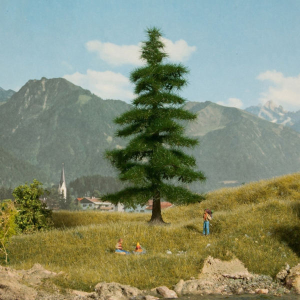 NOC21811 - Árbol Nordmann 14;5 cm - 1