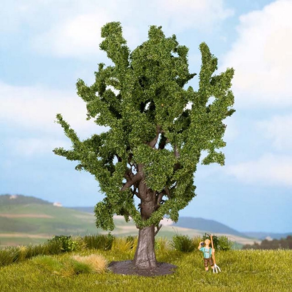 NOC25860 - Roble - 15cm - 1