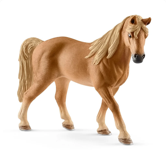SHL13833 - Yegua Tennessee Walker - 1