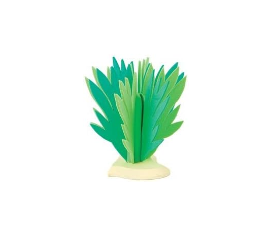 BUL81088 - Arbusto - 14 cm - 1