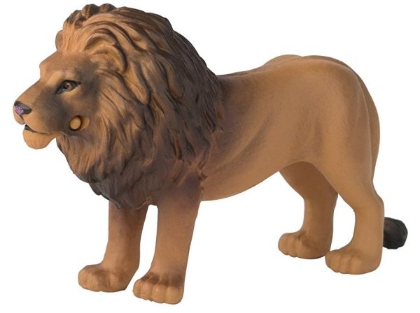 T16046 - León - 1