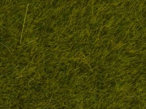 NOC07090 - Flocking bote verde claro 100g 6mm