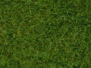 NOC07092 - Tarro de flocado verde claro 100g 6mm
