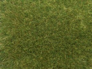 NOC07118 - Hierbas silvestres; Verde medio 9mm 50g