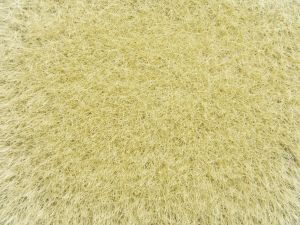 NOC07119 - Hierbas silvestres; amarillas 9mm 50g