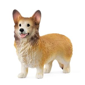 SHL13999 - Perro Welsh Corgi