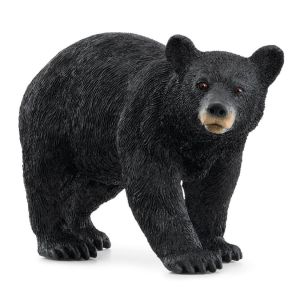 SHL14869 - Oso negro