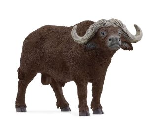 SHL14872 - Búfalo africano