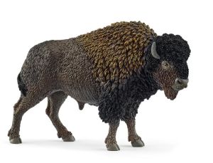 SHL14879 - Bisonte