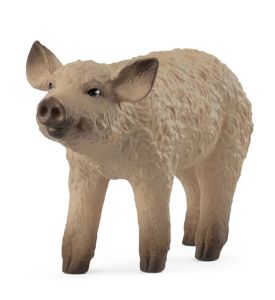 SHL14893 - Lechón Mangalica