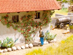 NOC14118 - rosas trepadoras