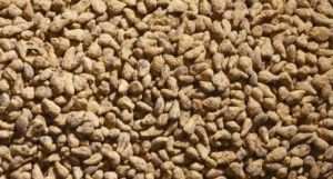JUW23092 - 150g bolsa de remolacha