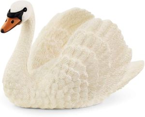 SHL13921 - Cisne