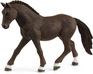 SHL13926 - Poni de montar alemán castrado