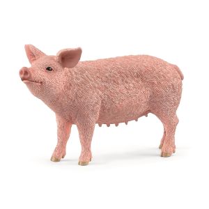 SHL13933 - Cerdo