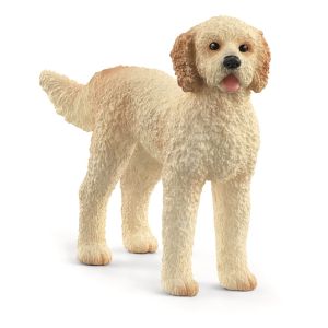 SHL13939 - Perro Goldendoodle